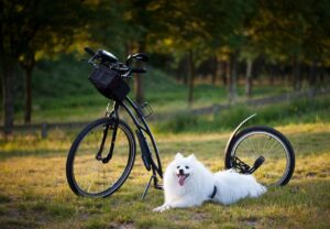 パンプスの靴擦れ防止に効果的なテープは？