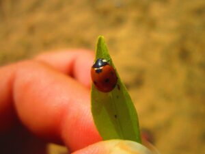 小さいサイズのパンプスで痛くないおすすめは？