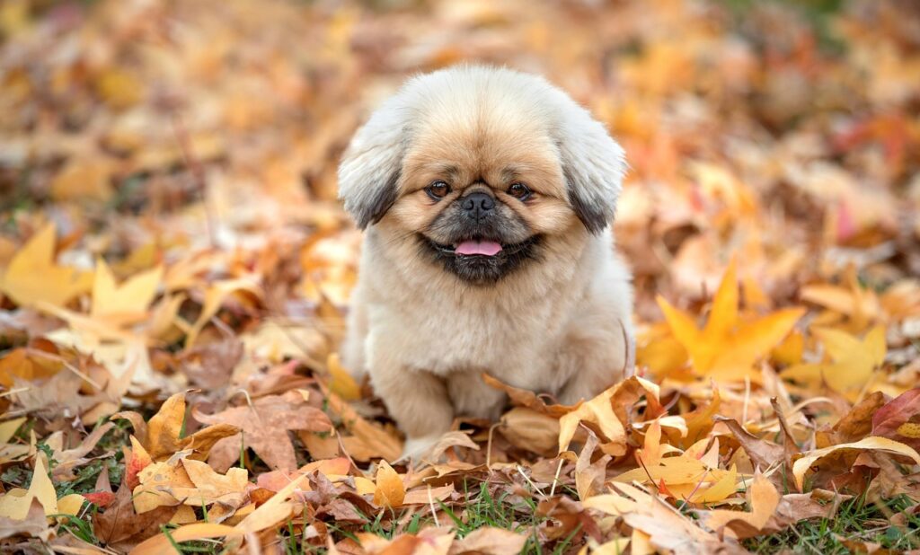 プレーンパンプスが痛くない理由と選び方は？