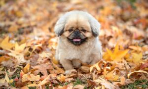 プレーンパンプスが痛くない理由と選び方は？