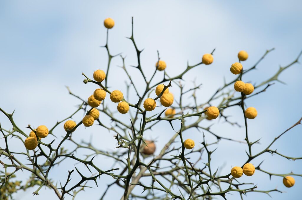 脱げないパンプスの選び方で失敗しないポイントは？