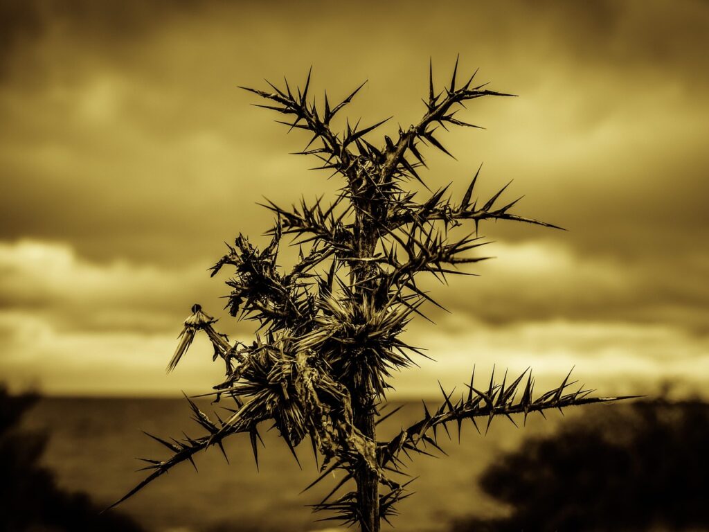 パンプスを痛くないで履くためのコツは？