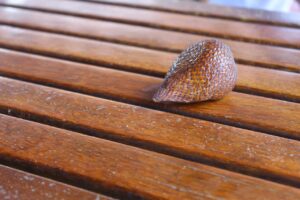 痛くない26cmレディースパンプスの選び方は？