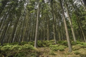 痛くないパンプスをきつい時に広げる方法は？