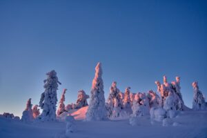 痛くないパンプスを夕方に試着できない理由とは？